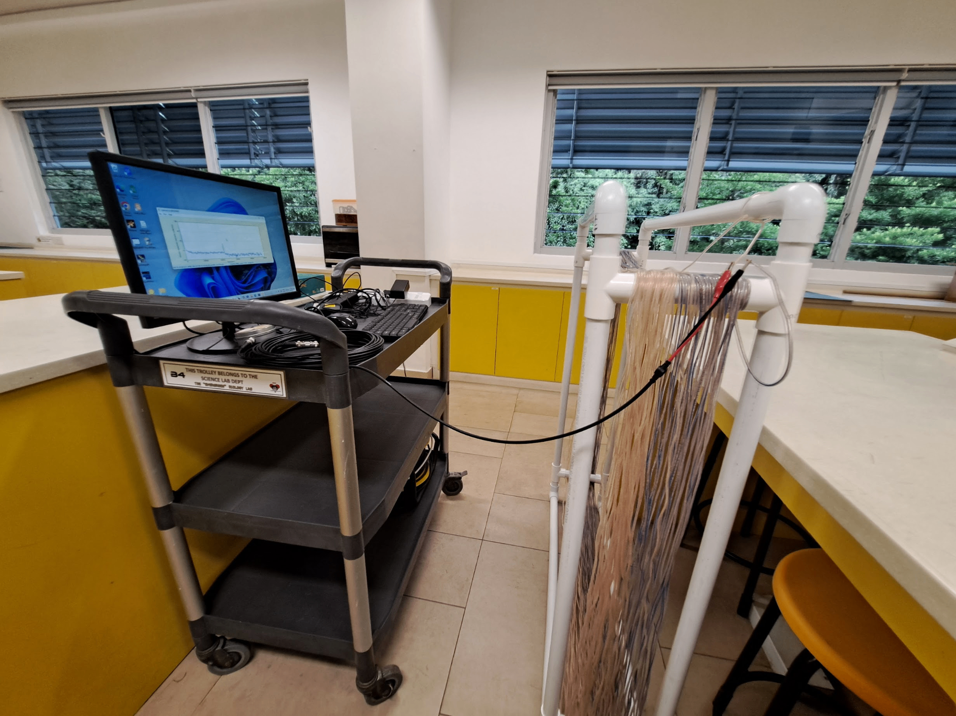 Radio antenna and signal-capture setup in the lab